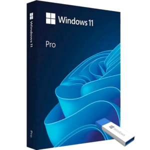 Windows 11 Professional