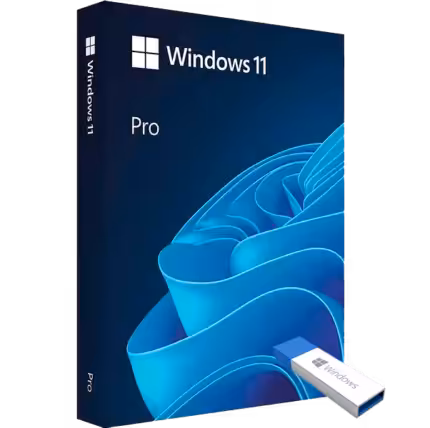 Windows 11 Pro pe Stick USB