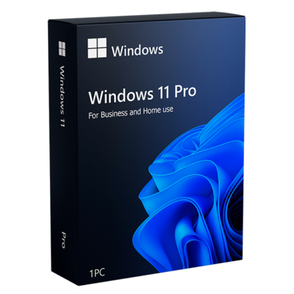 Windows 11 Pro Licență Digitală